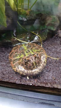 サンシャイン水族館に投稿された画像（2023/3/31）