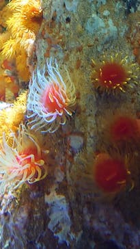 サンシャイン水族館に投稿された画像（2023/3/31）