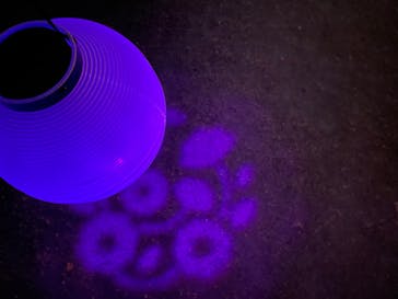 NAKED 桜の新宿御苑 2023に投稿された画像（2023/3/31）