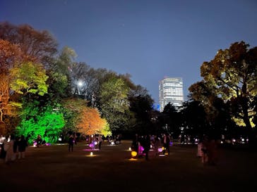 NAKED 桜の新宿御苑 2023に投稿された画像（2023/3/31）