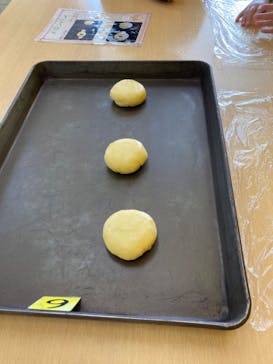 淡路ファームパーク イングランドの丘に投稿された画像（2023/3/31）