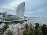 横浜みなとみらい 万葉倶楽部に投稿された画像（2023/3/31）