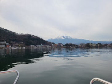 NaturaBaseに投稿された画像（2023/3/31）