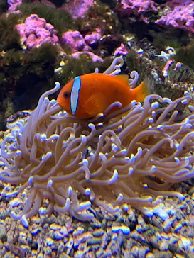 仙台うみの杜水族館に投稿された画像（2023/3/31）