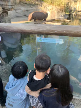 天王寺動物園に投稿された画像（2023/3/31）