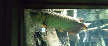 サンシャイン水族館に投稿された画像（2023/3/31）