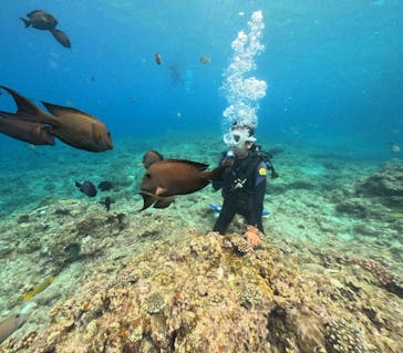 DIVING-SHOP SUNSに投稿された画像（2023/3/31）