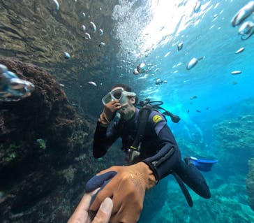 DIVING-SHOP SUNSに投稿された画像（2023/3/31）