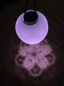 NAKED 桜の新宿御苑 2023に投稿された画像（2023/3/31）