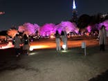 NAKED 桜の新宿御苑 2023に投稿された画像（2023/3/31）