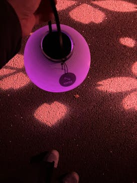 NAKED 桜の新宿御苑 2023に投稿された画像（2023/3/31）