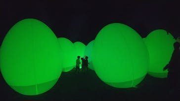 チームラボ ボタニカルガーデン 大阪に投稿された画像（2023/3/31）