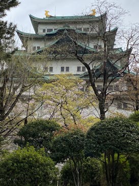 名古屋城に投稿された画像（2023/3/31）