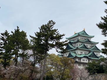 名古屋城に投稿された画像（2023/3/31）