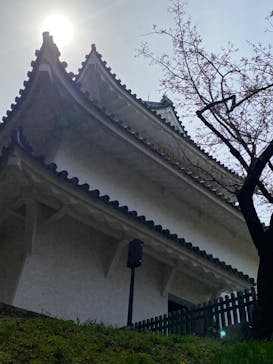 名古屋城に投稿された画像（2023/3/31）