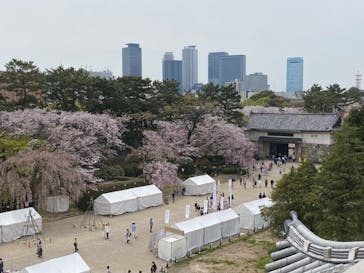 名古屋城に投稿された画像（2023/3/31）