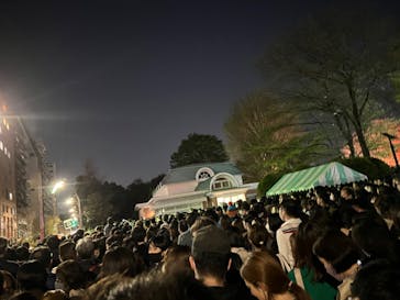 NAKED 桜の新宿御苑 2023に投稿された画像（2023/3/31）