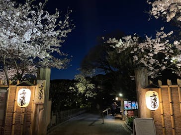 三溪園に投稿された画像（2023/3/31）