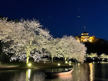 三溪園に投稿された画像（2023/3/31）