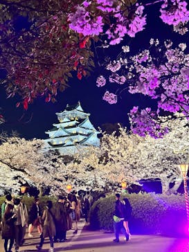 大阪城公園 西の丸庭園に投稿された画像（2023/3/31）