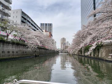東京ウォータウェイズに投稿された画像（2023/3/31）