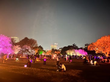 NAKED 桜の新宿御苑 2023に投稿された画像（2023/3/31）