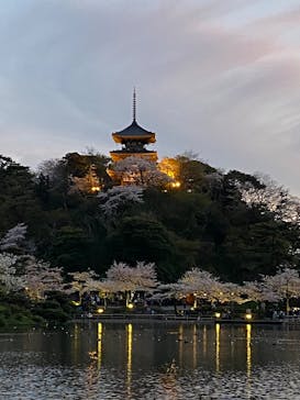 三溪園に投稿された画像（2023/3/31）