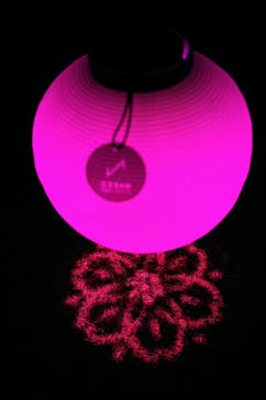 NAKED 桜の新宿御苑 2023に投稿された画像（2023/3/31）