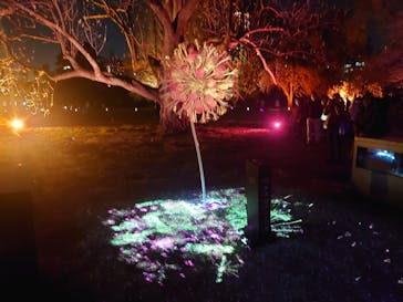 NAKED 桜の新宿御苑 2023に投稿された画像（2023/3/31）