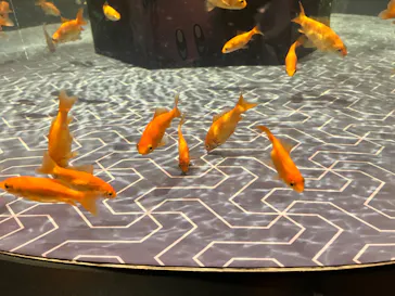 すみだ水族館に投稿された画像（2023/3/31）