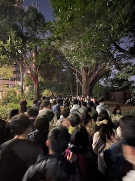 NAKED 桜の新宿御苑 2023に投稿された画像（2023/3/31）