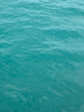 青の洞窟専門店　沖縄ダイビングショップ和に投稿された画像（2023/3/31）