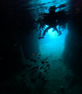 青の洞窟専門店　沖縄ダイビングショップ和に投稿された画像（2023/3/31）