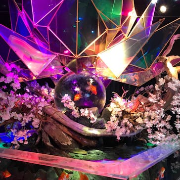 NARA KINGYO MUSEUMに投稿された画像（2023/3/31）