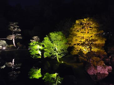 『NAKED FLOWERS 2023 桜 世界遺産・二条城』に投稿された画像（2023/3/31）