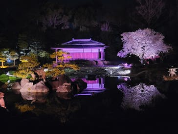 『NAKED FLOWERS 2023 桜 世界遺産・二条城』に投稿された画像（2023/3/31）