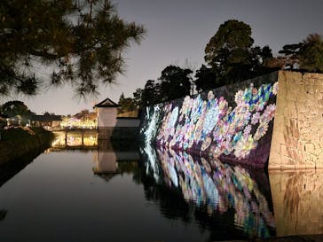 『NAKED FLOWERS 2023 桜 世界遺産・二条城』に投稿された画像（2023/3/31）