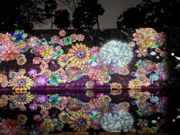 『NAKED FLOWERS 2023 桜 世界遺産・二条城』に投稿された画像（2023/3/31）