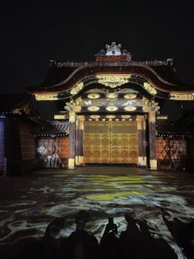 『NAKED FLOWERS 2023 桜 世界遺産・二条城』に投稿された画像（2023/3/31）