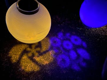 NAKED 桜の新宿御苑 2023に投稿された画像（2023/3/31）