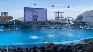 名古屋港水族館に投稿された画像（2023/3/31）