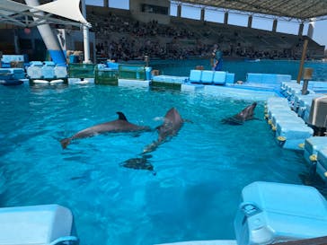 名古屋港水族館に投稿された画像（2023/3/31）