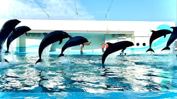 南知多ビーチランド＆南知多おもちゃ王国に投稿された画像（2023/3/31）