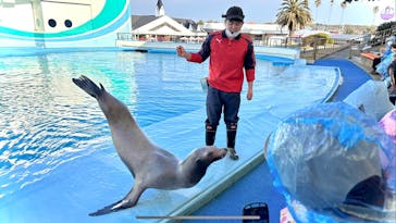 南知多ビーチランド＆南知多おもちゃ王国に投稿された画像（2023/3/31）