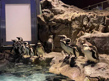 すみだ水族館に投稿された画像（2023/3/31）