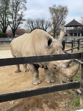 東武動物公園に投稿された画像（2023/3/31）