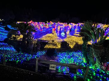 伊豆ぐらんぱる公園に投稿された画像（2023/3/31）