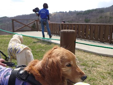 那須どうぶつ王国に投稿された画像（2023/3/31）