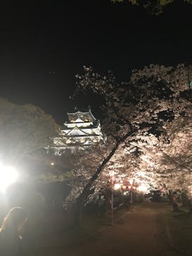 大阪城公園 西の丸庭園に投稿された画像（2023/3/31）