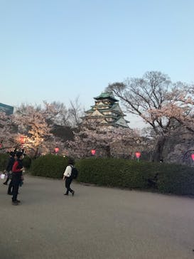 大阪城公園 西の丸庭園に投稿された画像（2023/3/31）